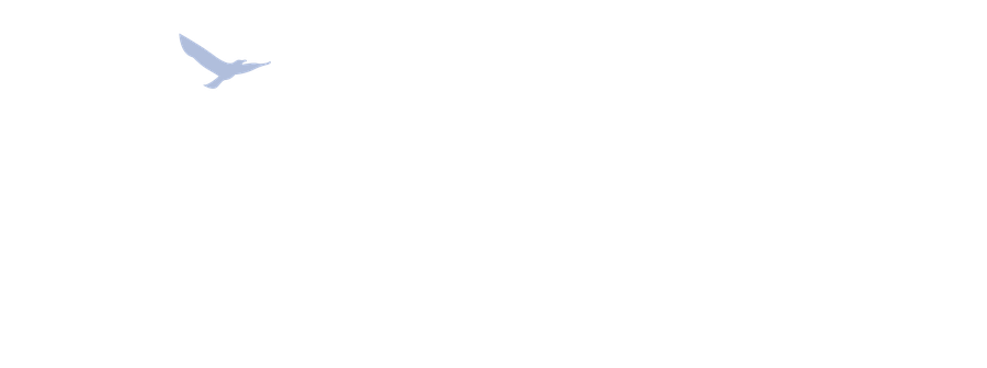 Fly Fund